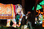 Light Safari olifant